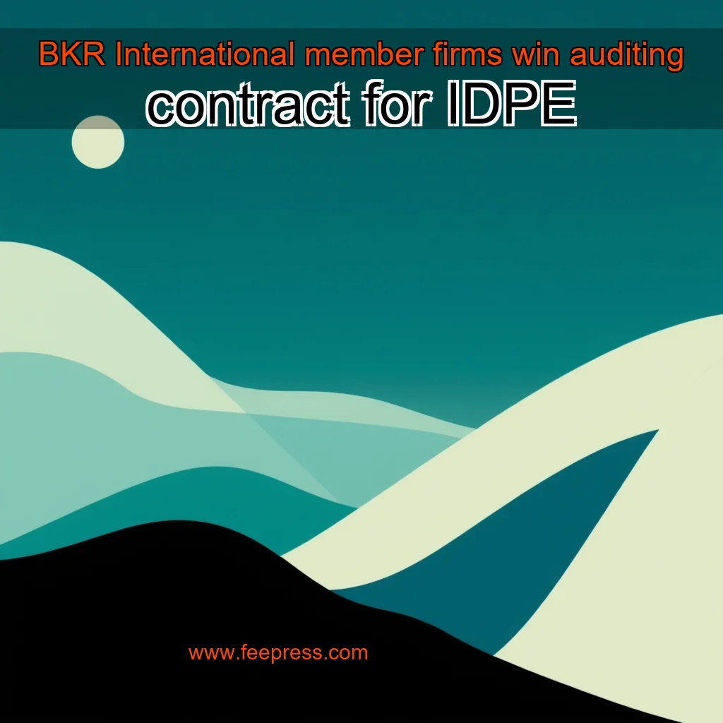 You are currently viewing BKR International member firms win auditing contract for IDPE